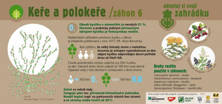 ZÁHONY KEŘŮ A POLOKEŘŮ