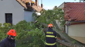MIMOŘÁDNÁ OKAMŽITÁ POMOC Z DŮVODU VÁŽNÉ MIMOŘÁDNÉ UDÁLOSTI (v souvislosti s tornádem) 1