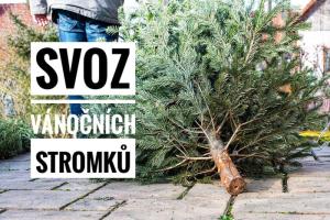 Svoz vánočních stromků 2